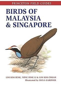 Birds of Malaysia and Singapore (Princeton Field Guides) Paperback